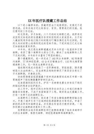 XX年医疗队援藏工作总结