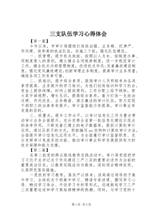 三支队伍学习心得体会 