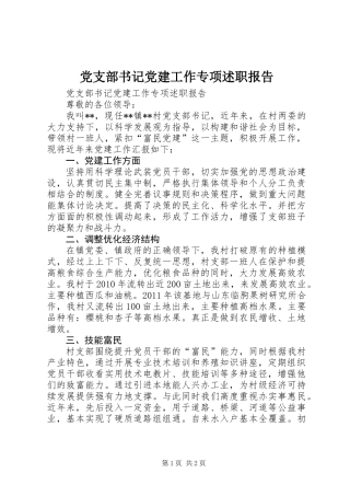 党支部书记党建工作专项述职报告