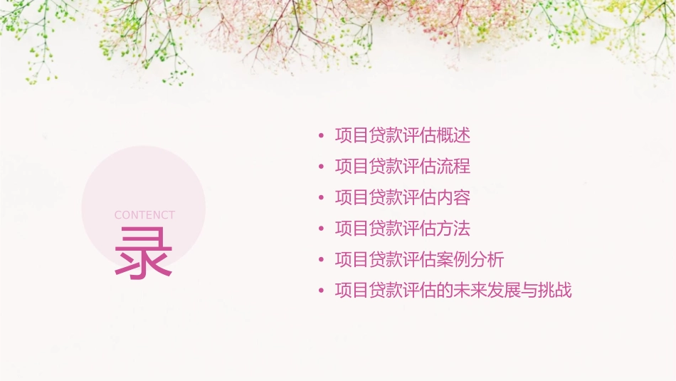 商业银行项目贷款评估概论课件_第2页