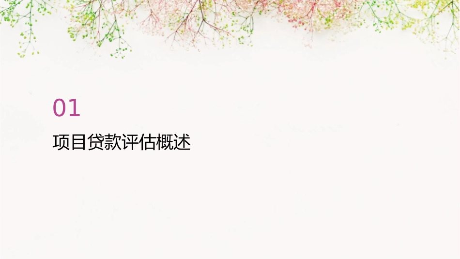 商业银行项目贷款评估概论课件_第3页