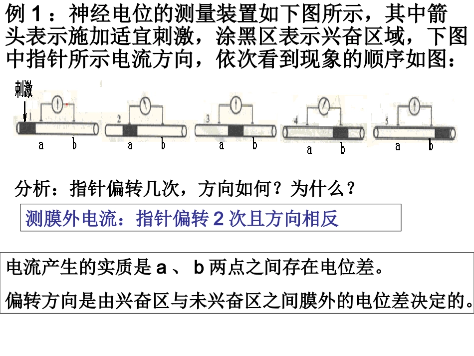 神经调节膜电位变化及其测量考题例析_第1页