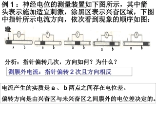 神经调节膜电位变化及其测量考题例析
