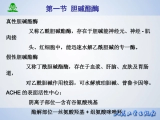 抗胆碱酯酶药