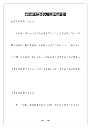 2024业务员试用期工作总结_10