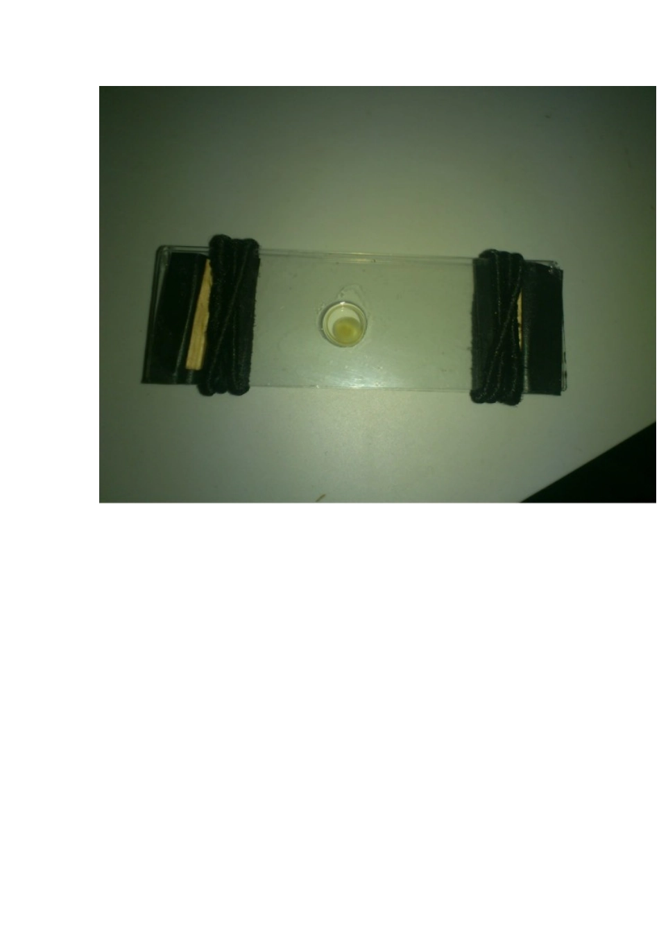 大卵径鱼卵的鱼类早期胚胎显微观察的简单易行的新方法(附虹鳟原肠胚照片)_第2页
