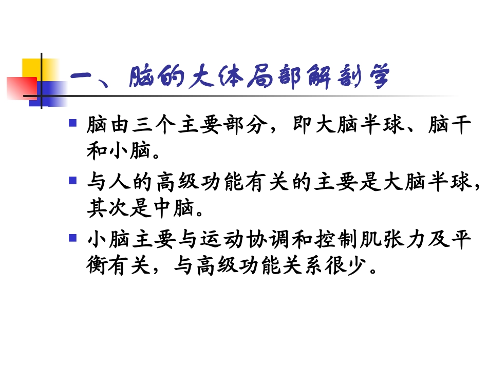 大脑的结构和功能_第2页