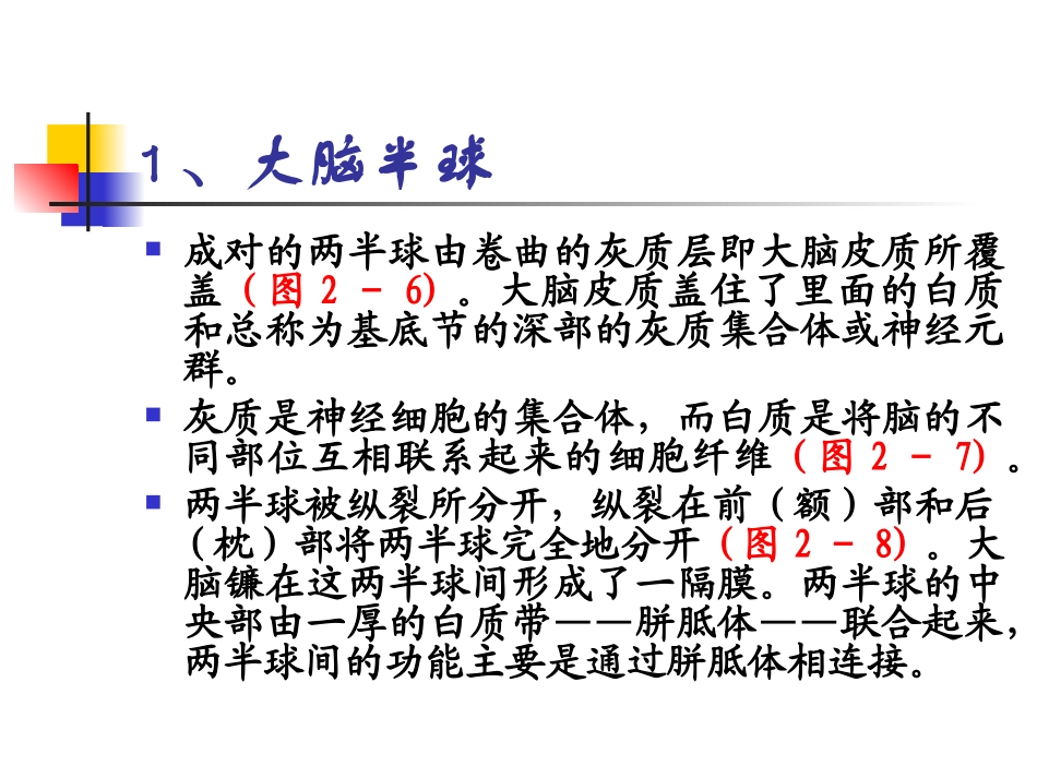 大脑的结构和功能_第3页