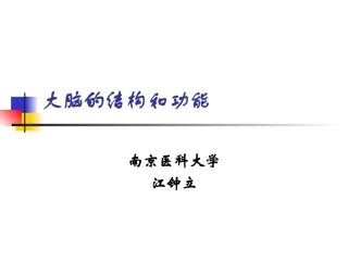 大脑的结构和功能