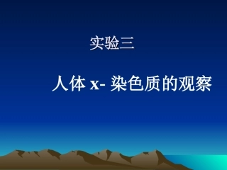 人体X—染色质的观察