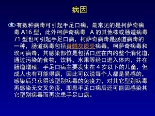 手足口病相关知识朱兰英