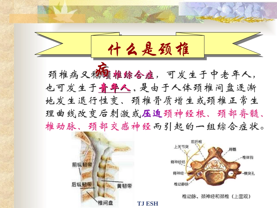 办公室颈椎操PPT模板_第2页