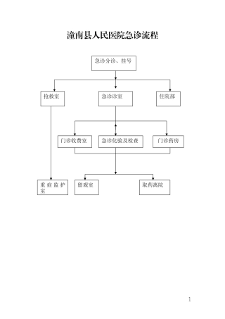 急-诊-流-程