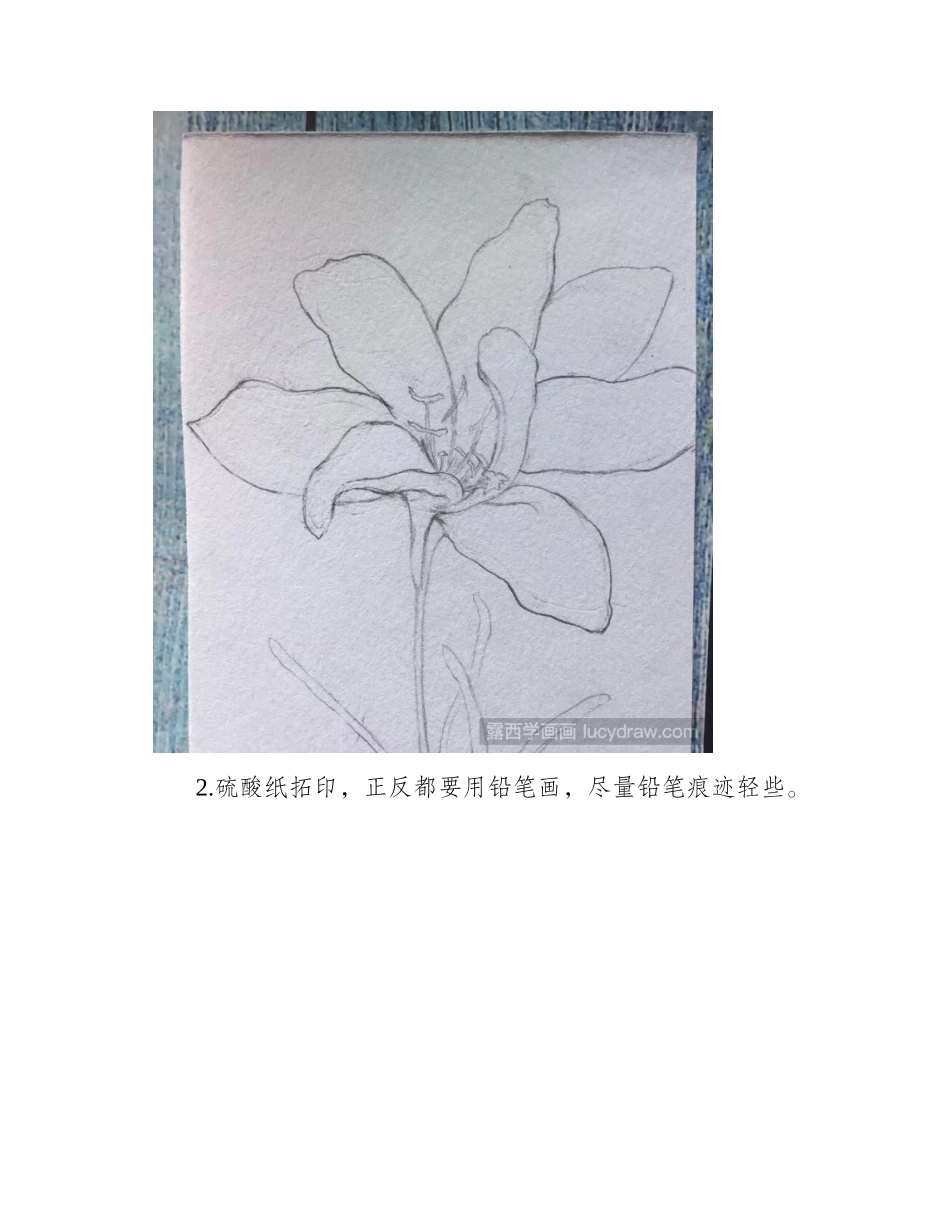 韭兰水彩画详细教程分享水彩画教程_第2页