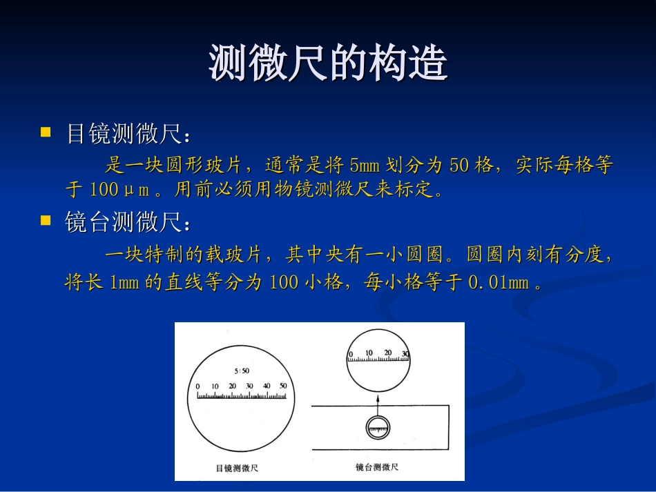 使用测微尺观测细胞的大小PPT_第3页