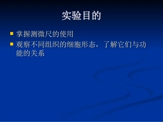 使用测微尺观测细胞的大小PPT