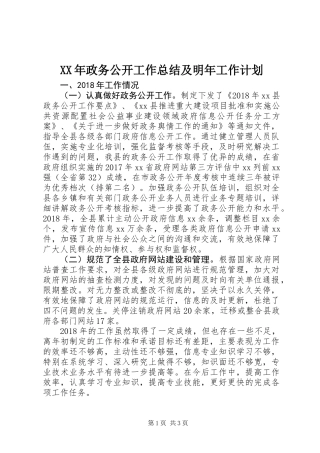 XX年政务公开工作总结及明年工作计划 (2)