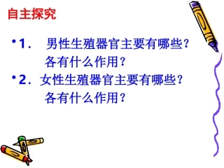 人的消化系统