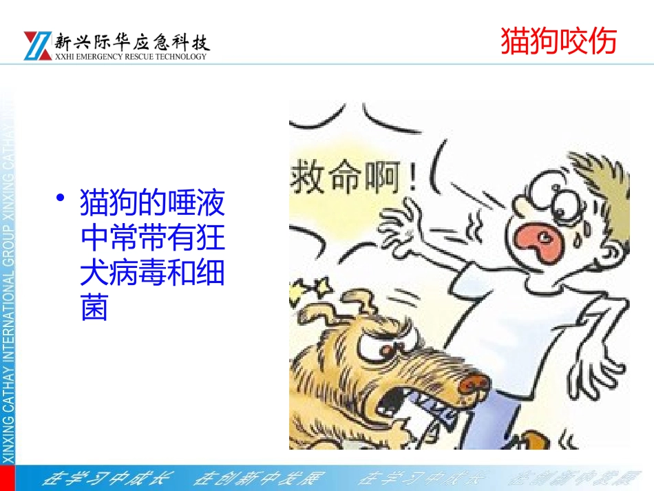 动物叮咬伤急救_第3页