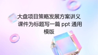 大盘项目策略发展方案讲义课件