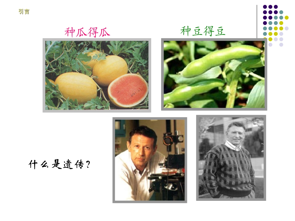 流行病学第17章-遗传流行病学-文档资料_第3页