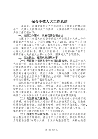 保合少镇人大工作总结