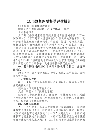 XX市规划纲要督导评估报告