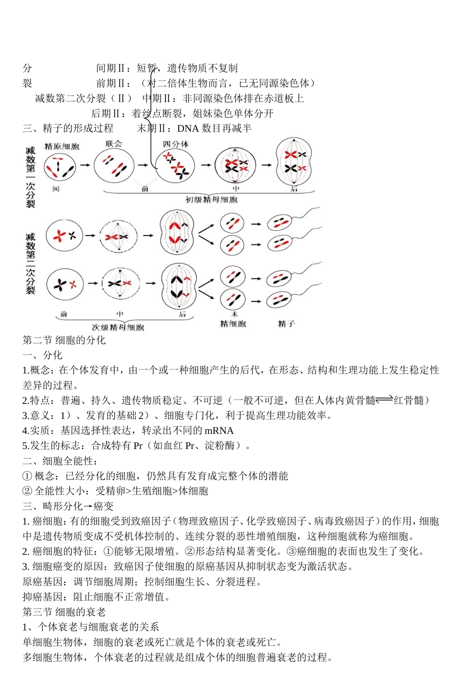 必修一-第六章-细胞的生命历程-知识点_第2页