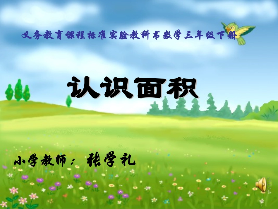 认识面积xin_第1页