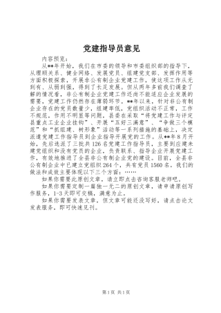 党建指导员意见