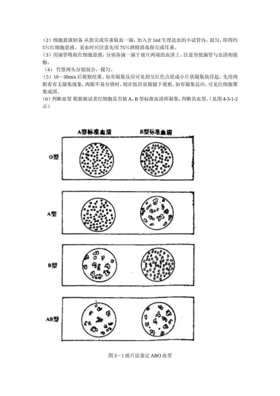 abo血型鉴定及人体动脉血压测定(精)_第2页