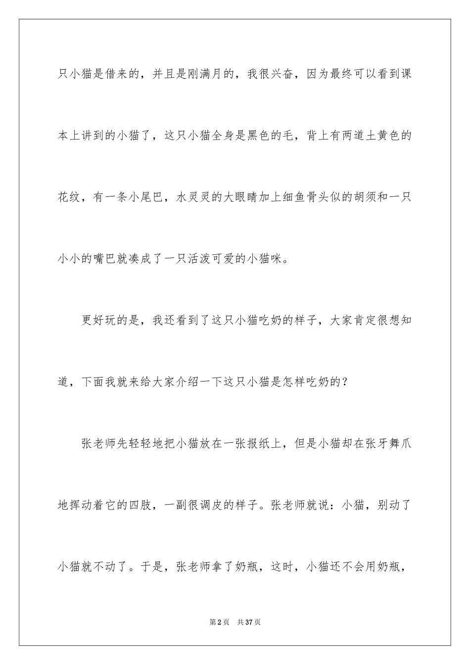 2024可爱的小猫_第2页