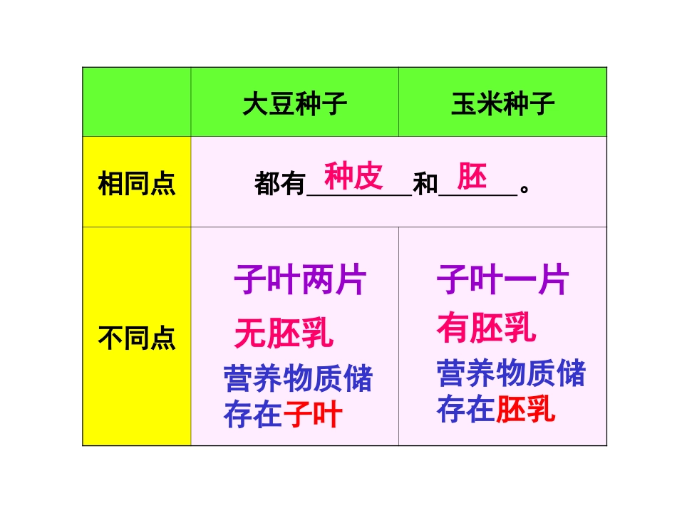 初一生物种子的萌发_第3页