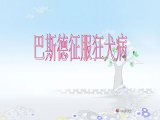J30050080302巴斯德征服狂犬病-ppt1分析