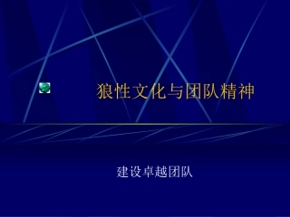 狼性文化与团队精神