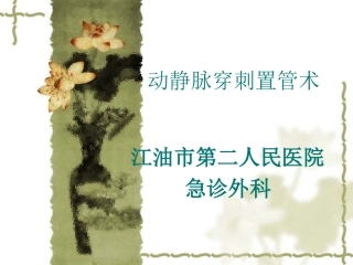 动静脉穿刺置管术