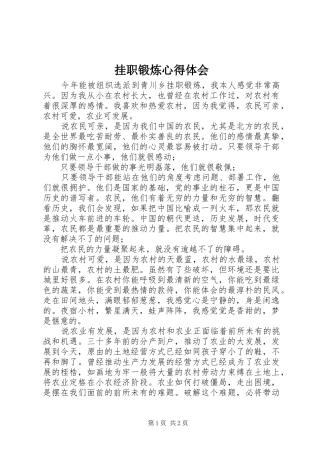 挂职锻炼心得体会 