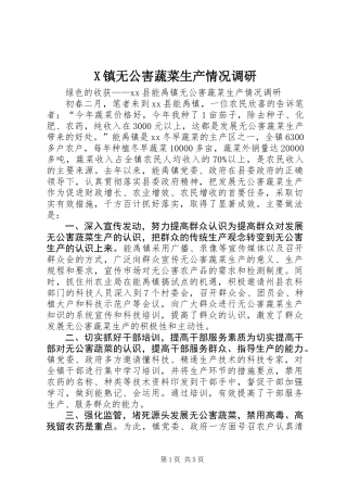 X镇无公害蔬菜生产情况调研 (2)