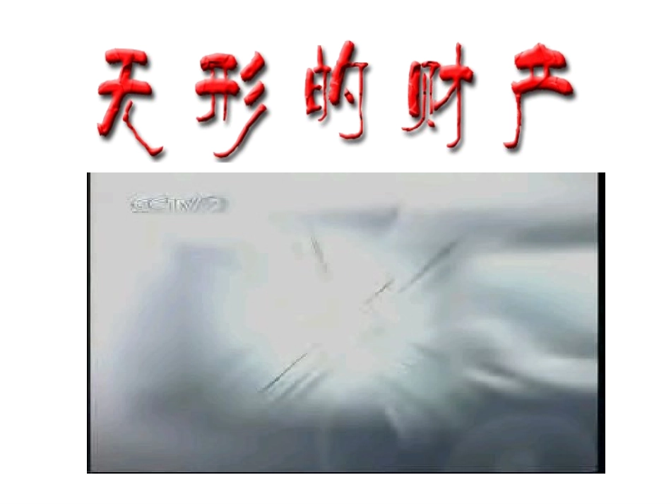 无形的财产2_第1页