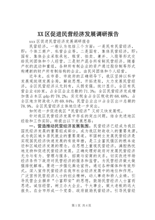 XX区促进民营经济发展调研报告