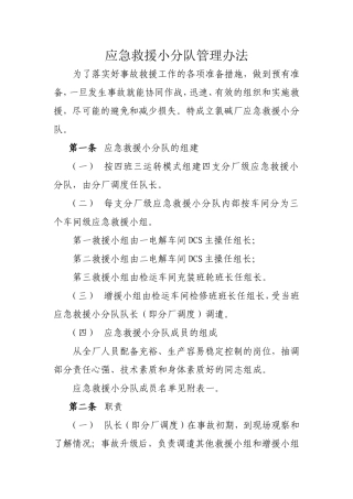 成立应急救援小分队