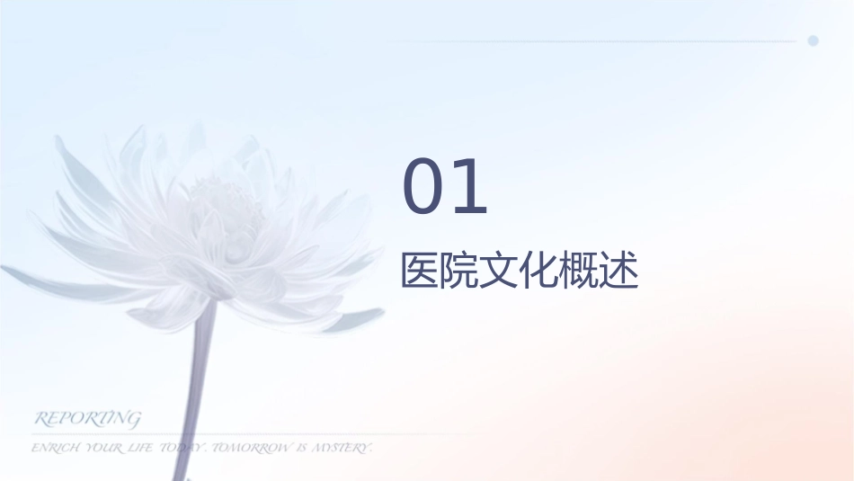 医院文化建设与可持续发展课件_第3页