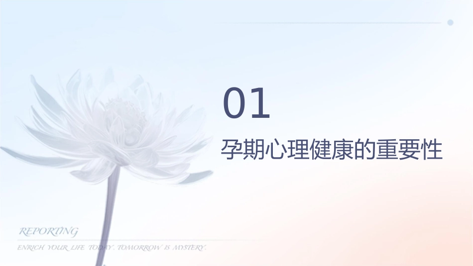 孕期心理健康与调节_第3页