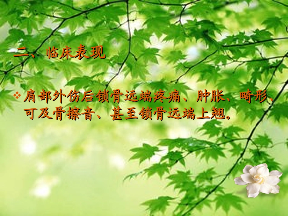 锁骨远端骨折业务查房(1)_第3页