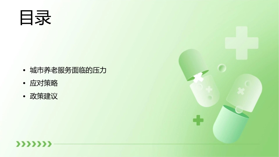 城市养老服务面临的压力与应对策略课件_第2页