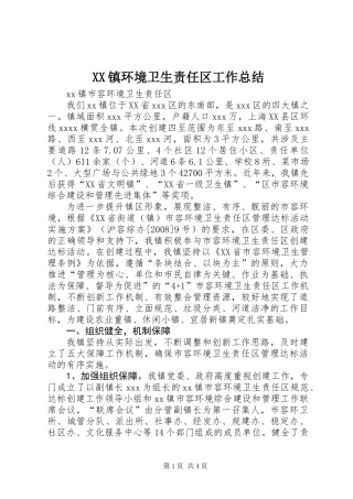 XX镇环境卫生责任区工作总结
