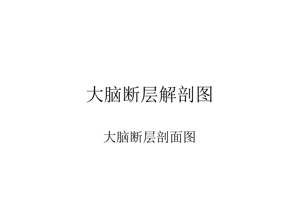 大脑结构图图例_第1页