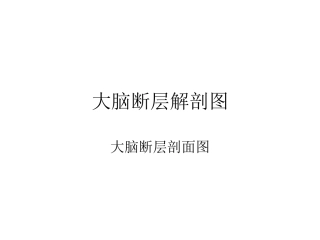 大脑结构图图例