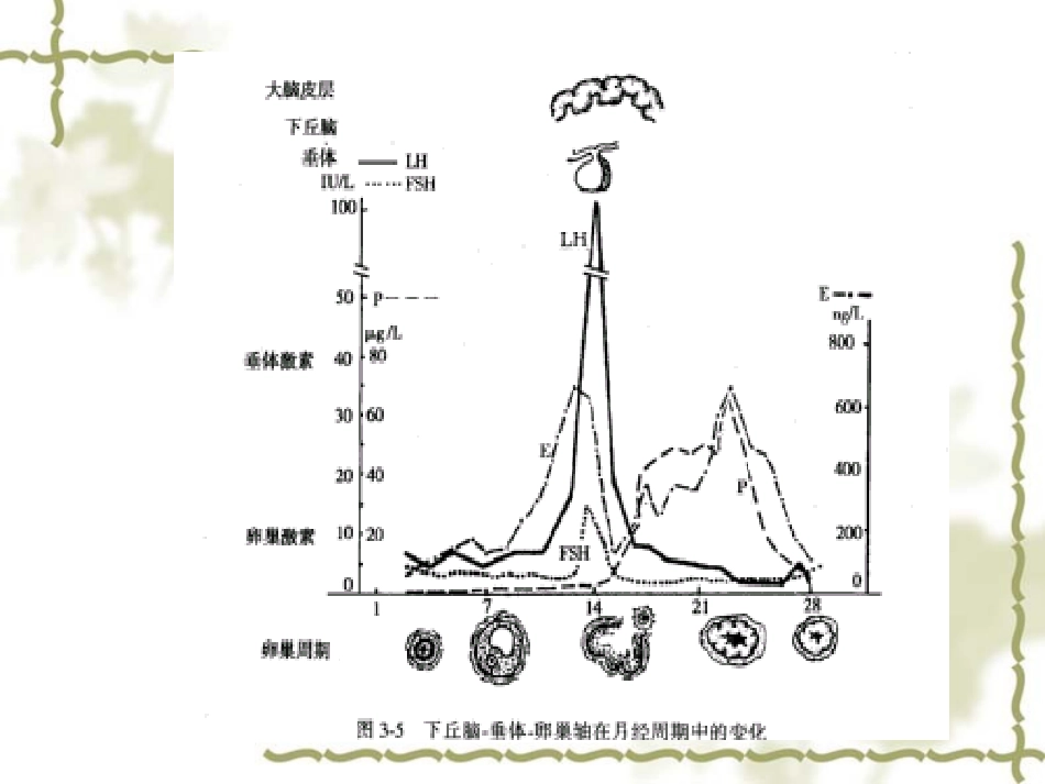 内分泌激素解读_第3页