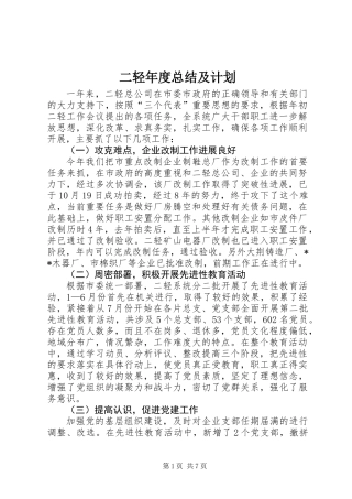 二轻年度总结及计划